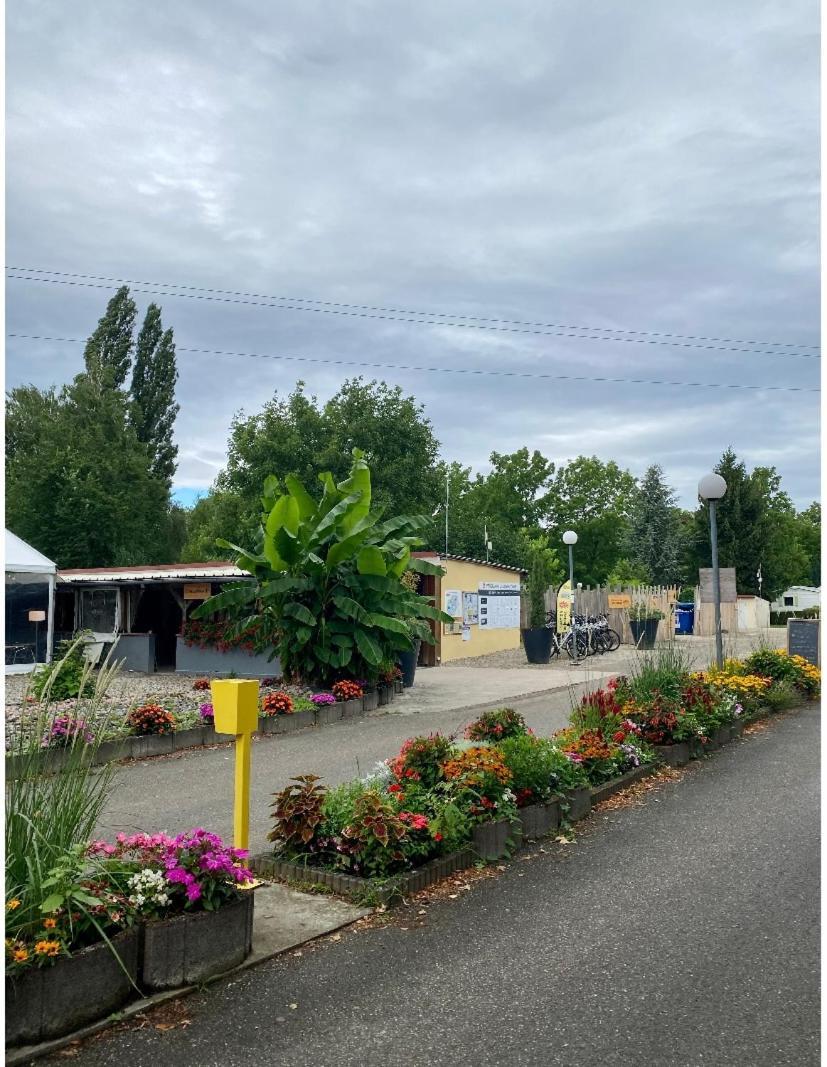 Camping Mobile Proche De Europa Park